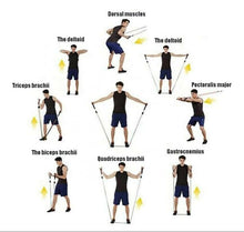 Load image into Gallery viewer, Resistance Bands - 5 Power Levels - 11 piece set
